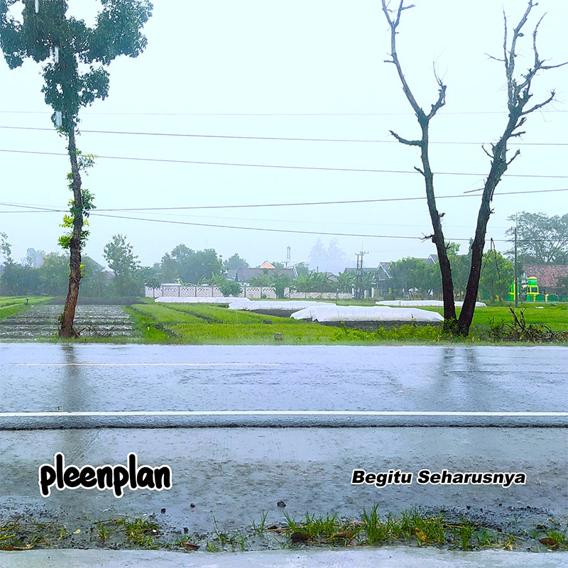 pleenplan